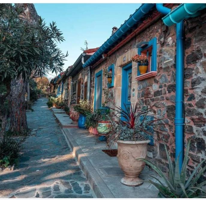 Apartamento Idéal pour Stage ou Formation Amélie-les-Bains-Palalda Exterior foto