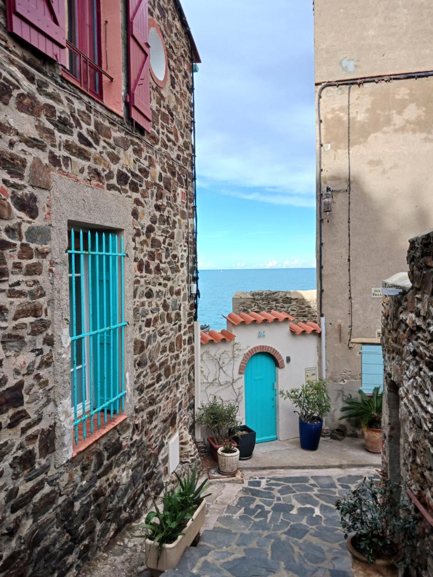 Apartamento Idéal pour Stage ou Formation Amélie-les-Bains-Palalda Exterior foto