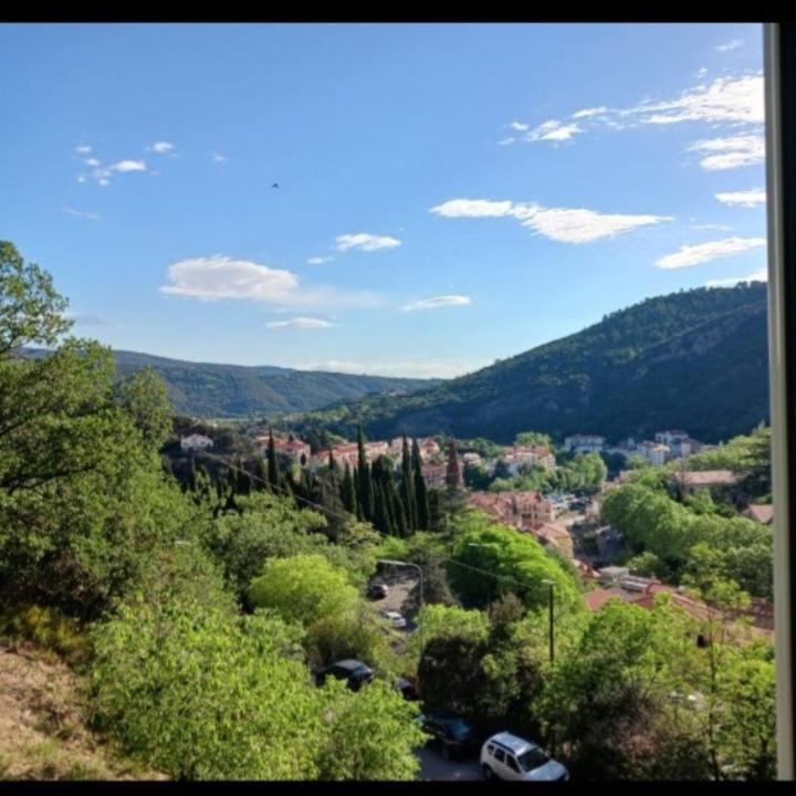 Apartamento Idéal pour Stage ou Formation Amélie-les-Bains-Palalda Exterior foto