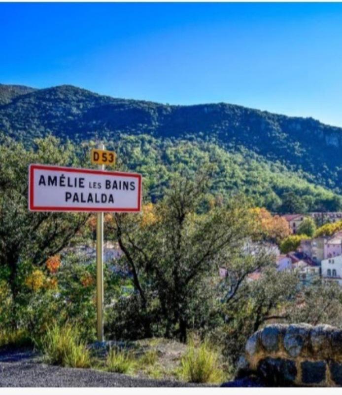 Apartamento Idéal pour Stage ou Formation Amélie-les-Bains-Palalda Exterior foto